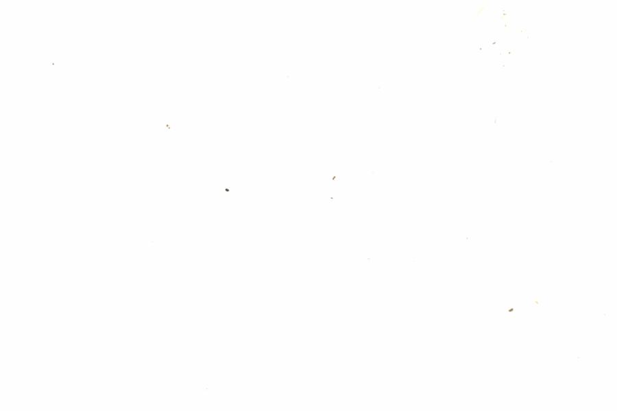 Fullscreen Image