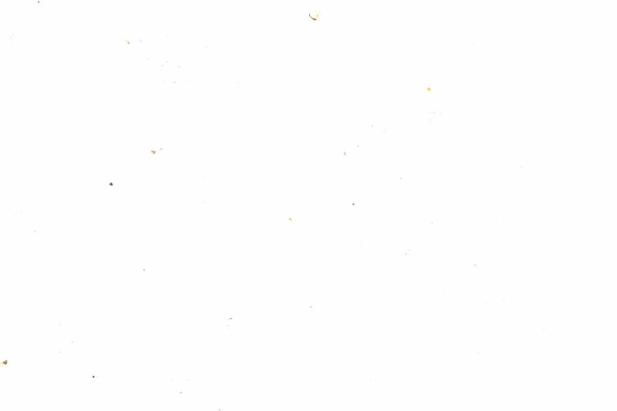Fullscreen Image