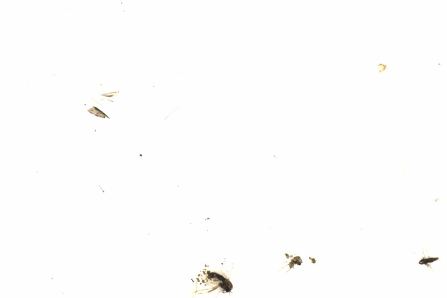 Fullscreen Image