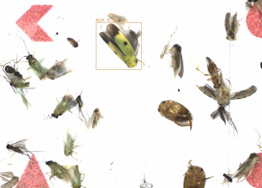 Fullscreen Image
