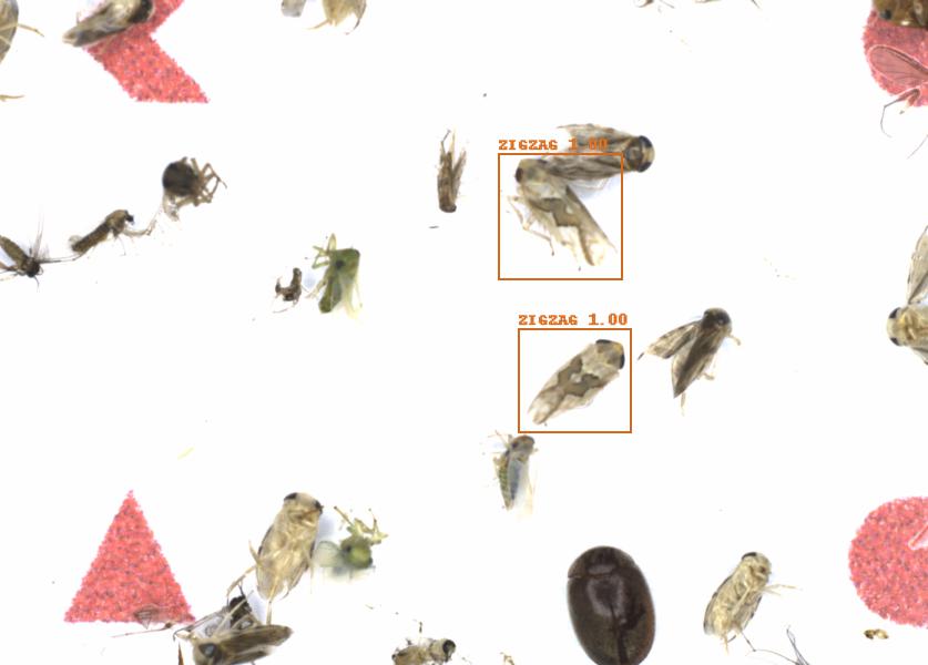 Fullscreen Image