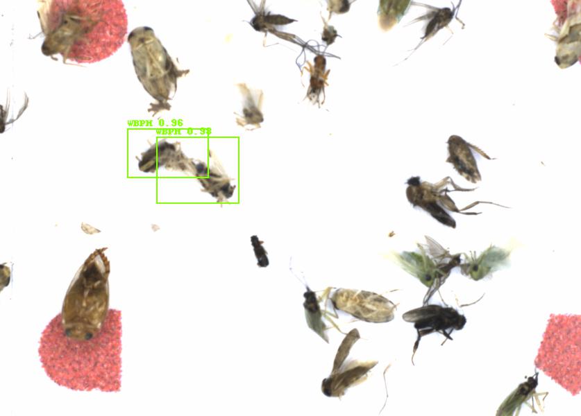 Fullscreen Image