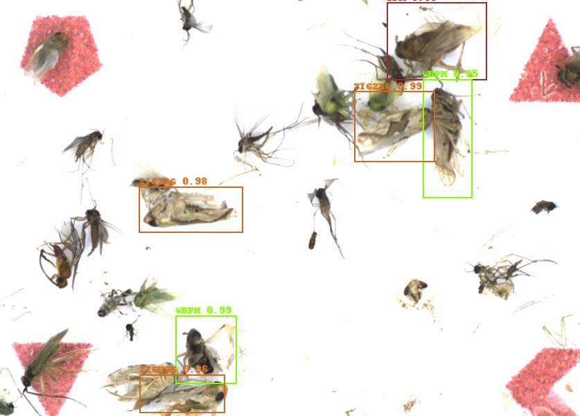 Fullscreen Image