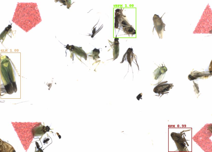 Fullscreen Image