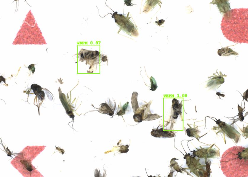 Fullscreen Image