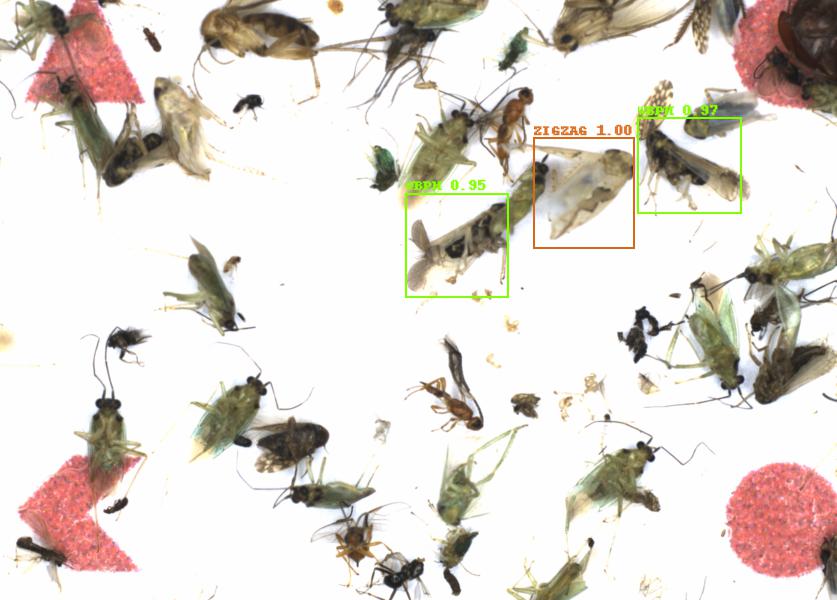 Fullscreen Image