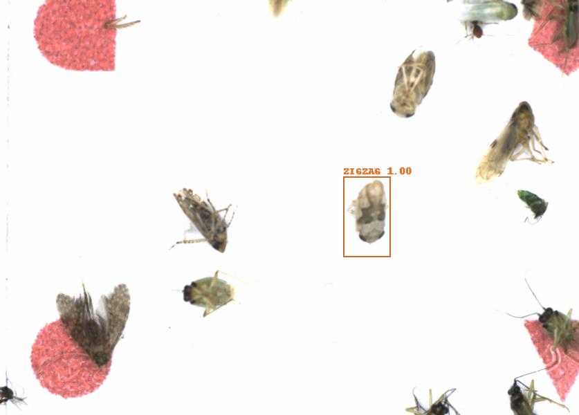 Fullscreen Image