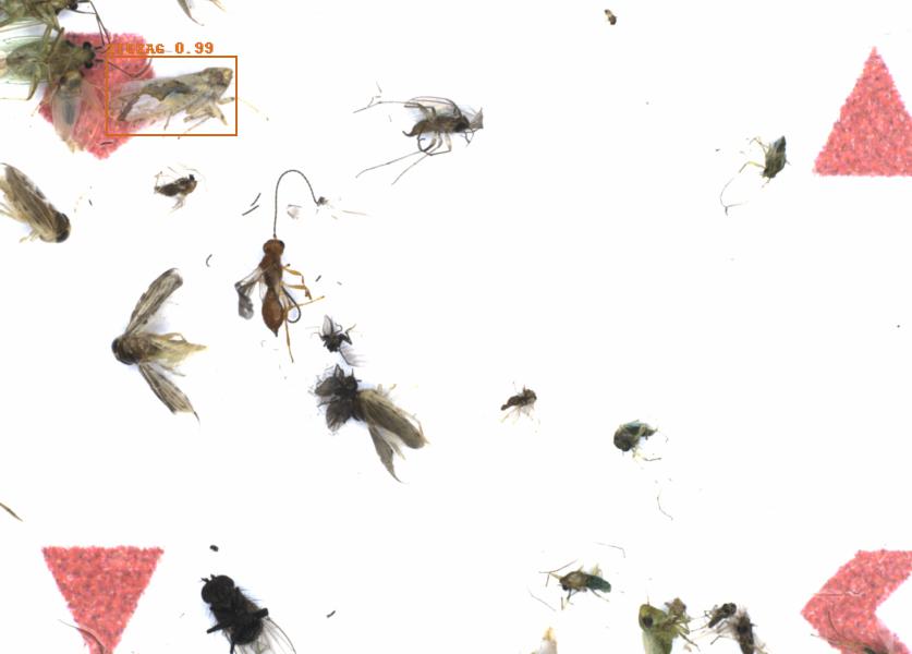Fullscreen Image