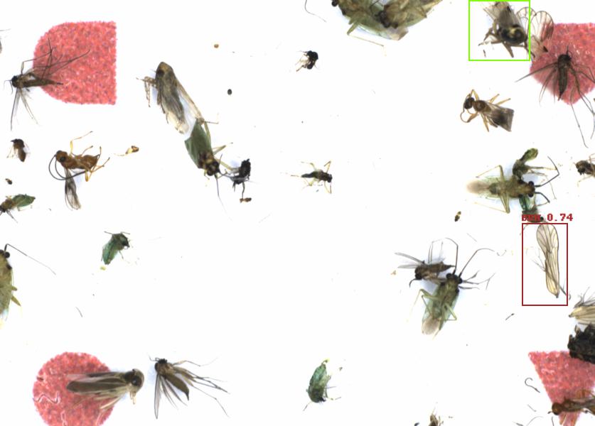 Fullscreen Image