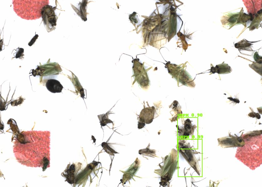 Fullscreen Image
