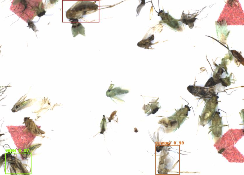 Fullscreen Image