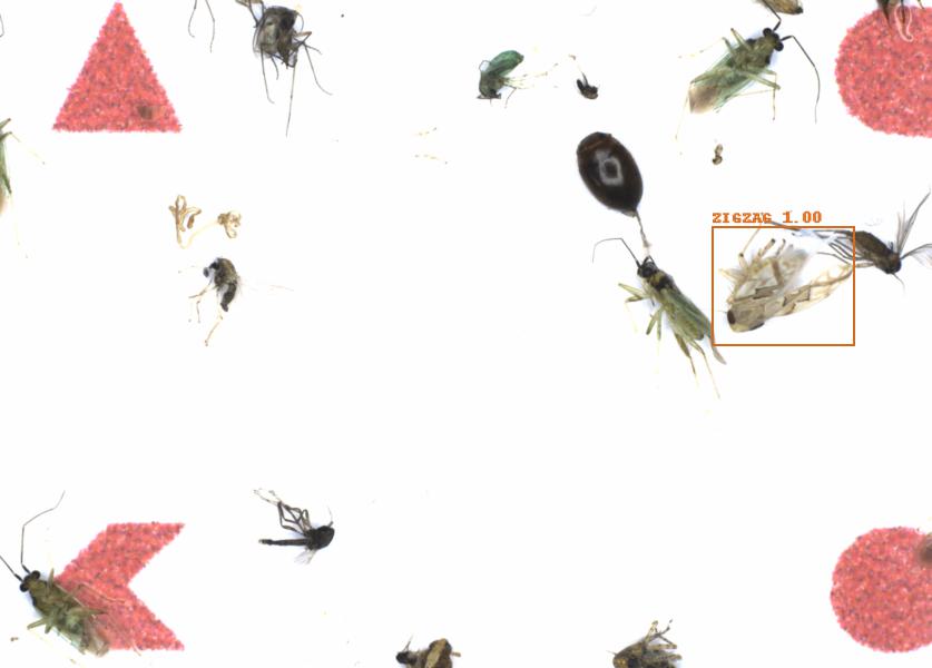 Fullscreen Image