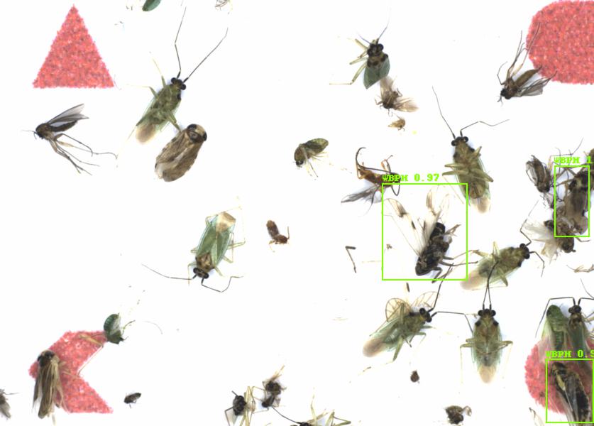 Fullscreen Image