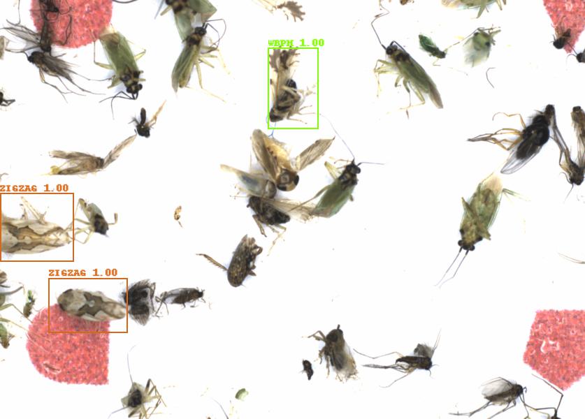 Fullscreen Image