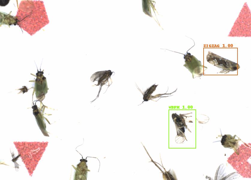 Fullscreen Image