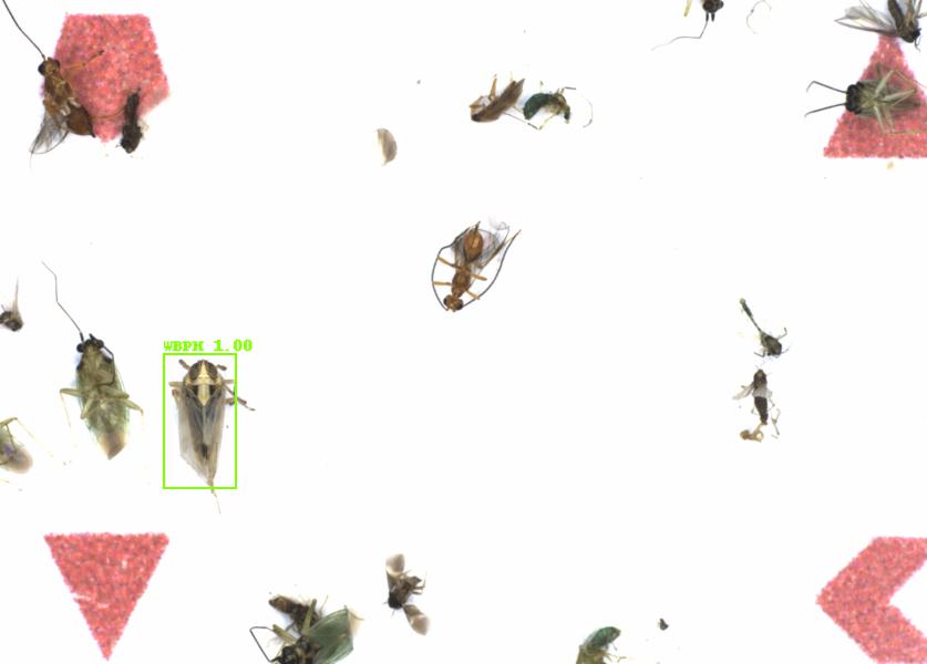 Fullscreen Image