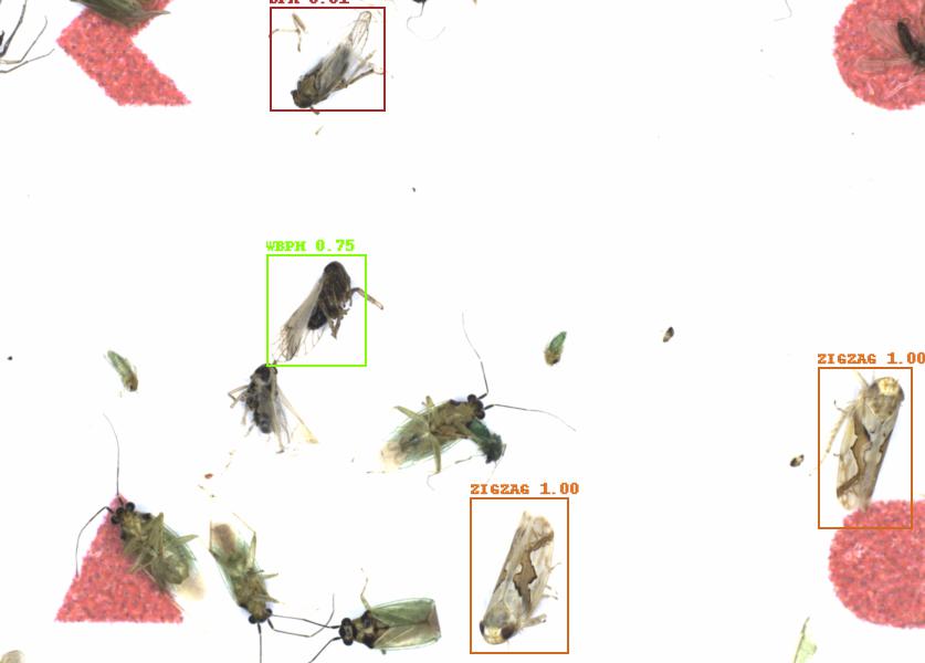Fullscreen Image