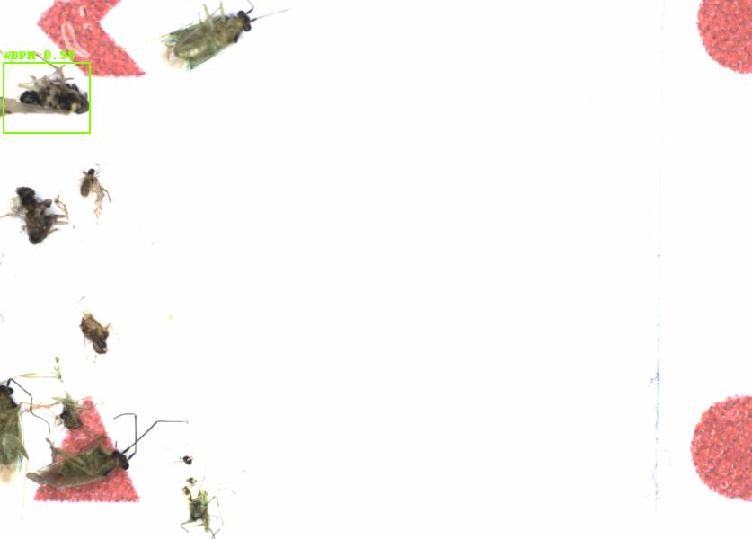 Fullscreen Image