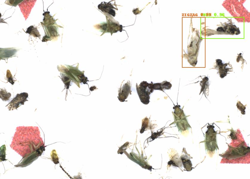 Fullscreen Image