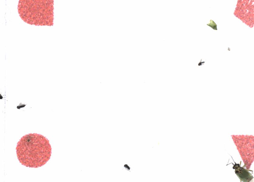Fullscreen Image