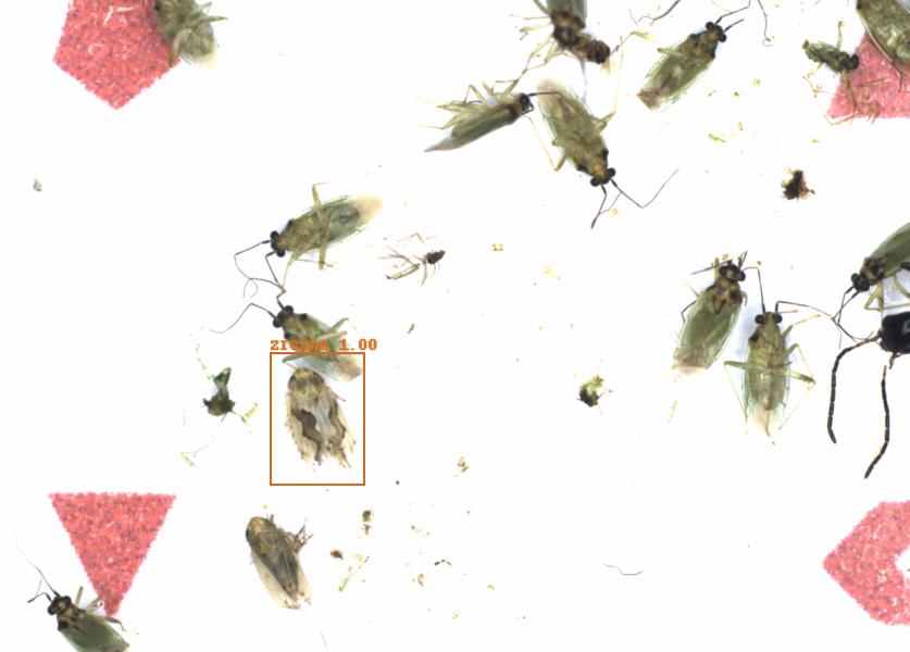 Fullscreen Image