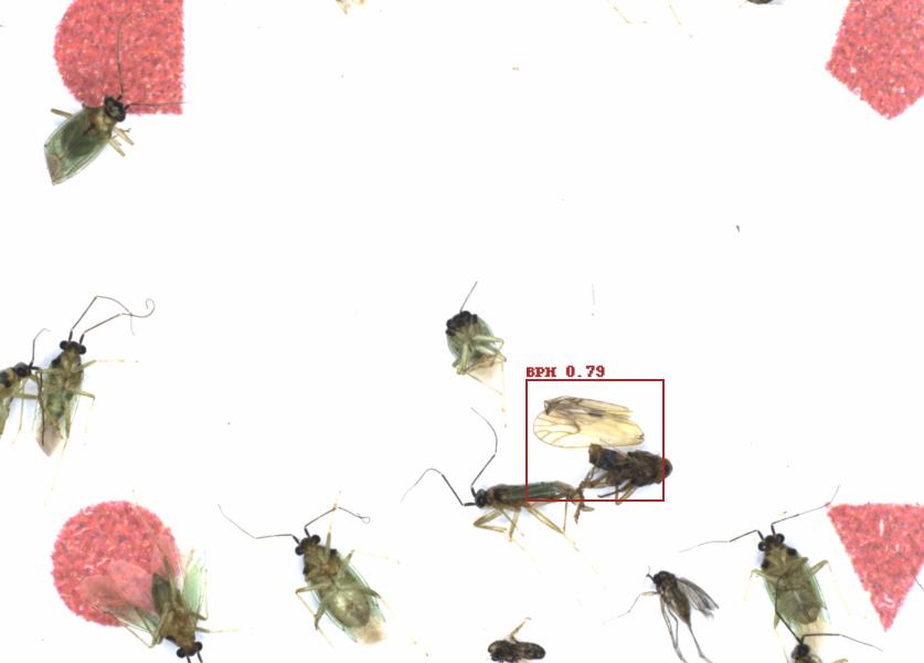 Fullscreen Image