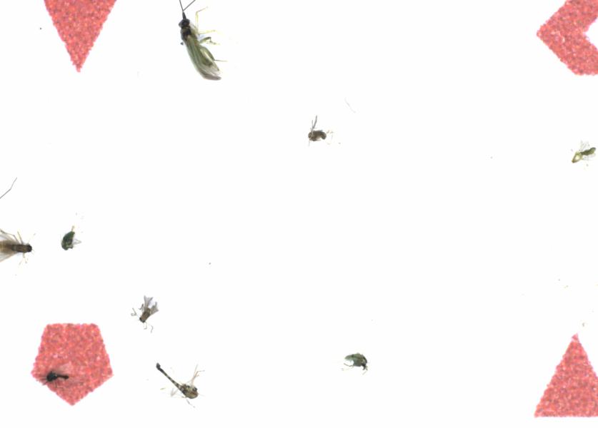Fullscreen Image