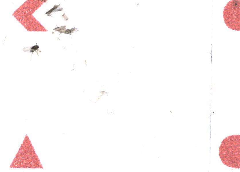 Fullscreen Image
