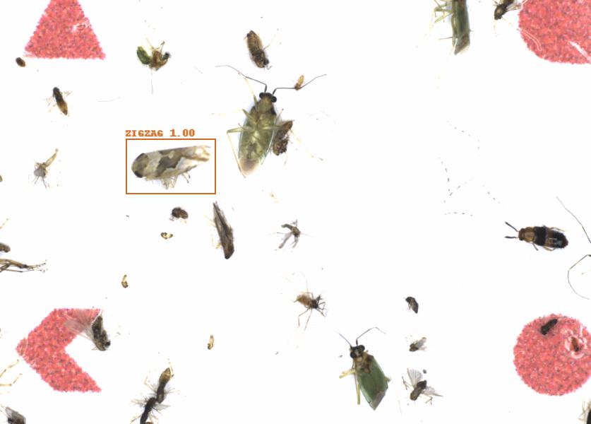 Fullscreen Image
