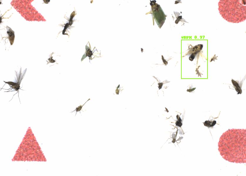 Fullscreen Image