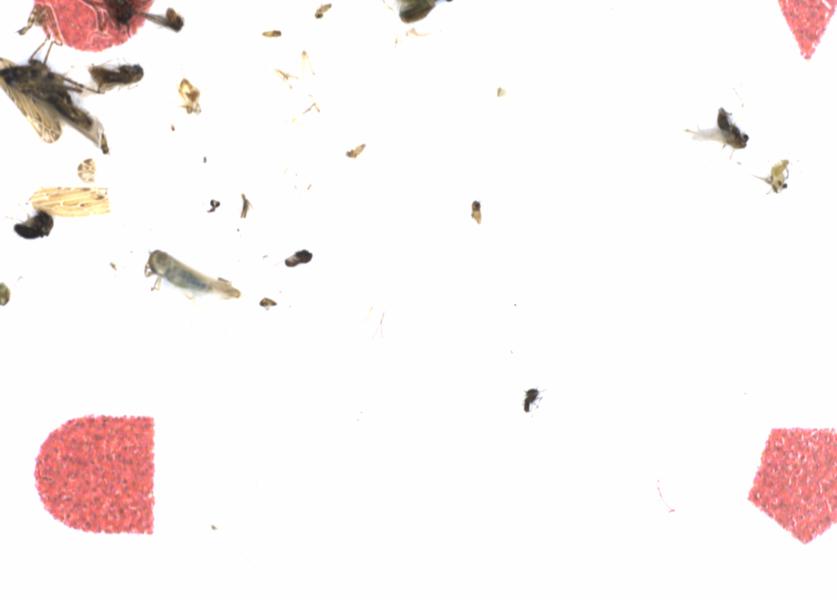 Fullscreen Image