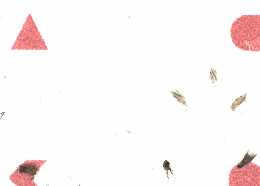 Fullscreen Image