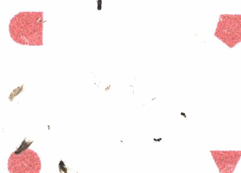 Fullscreen Image