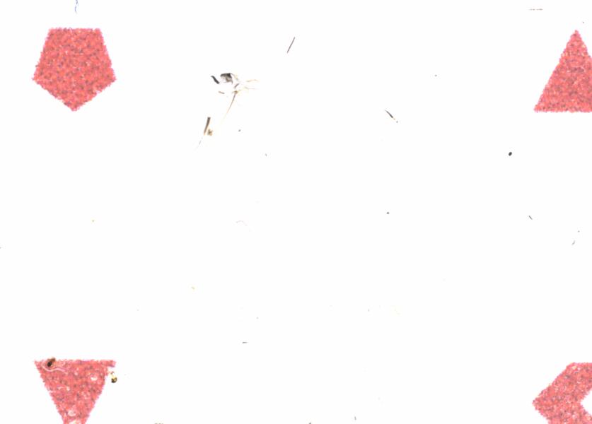 Fullscreen Image