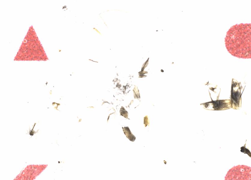Fullscreen Image