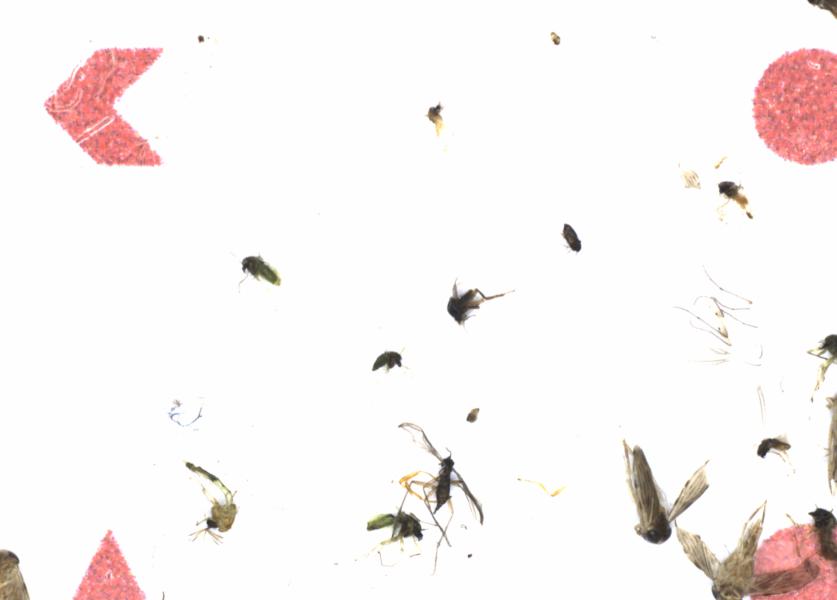 Fullscreen Image
