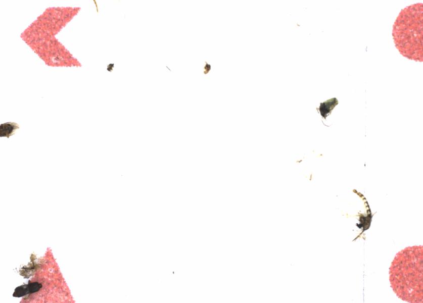 Fullscreen Image