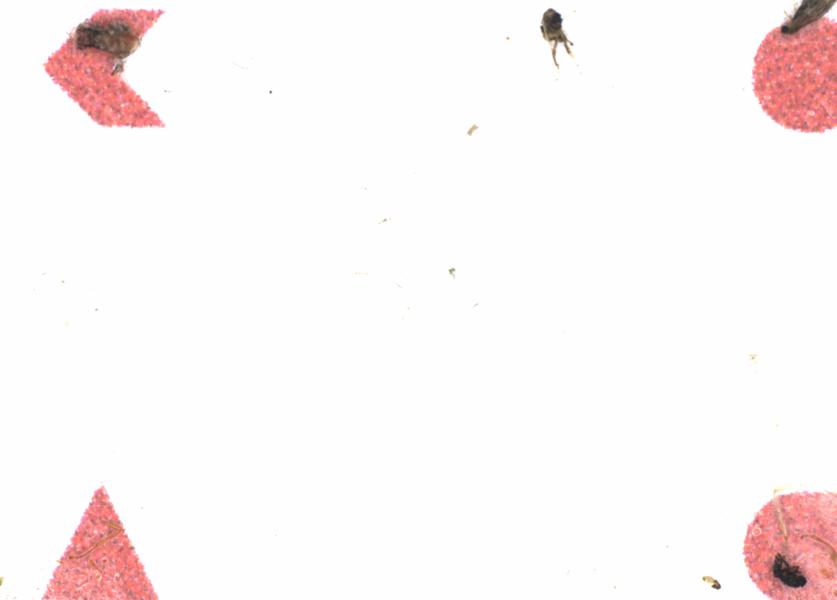 Fullscreen Image