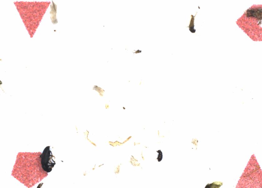 Fullscreen Image