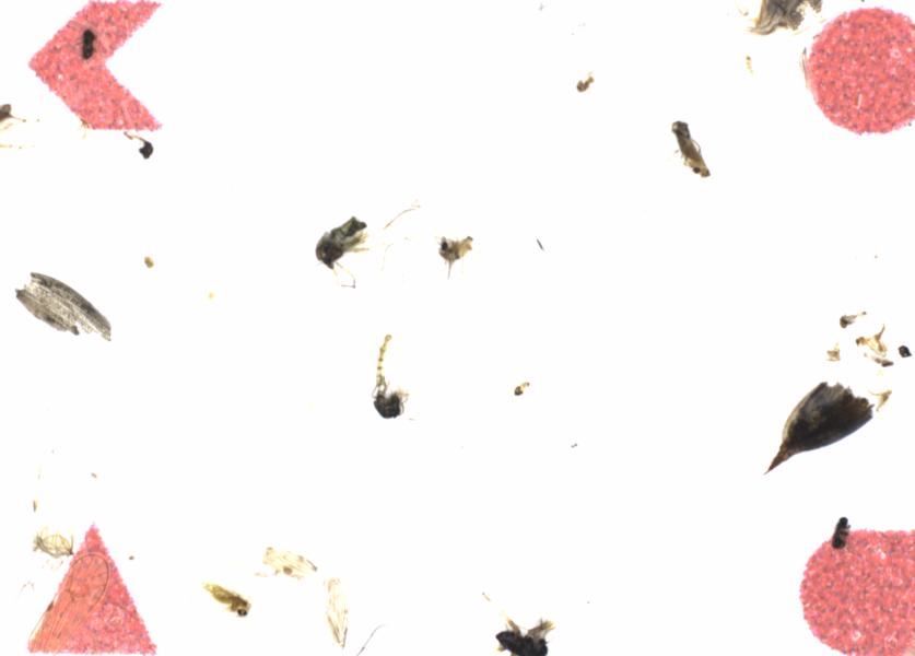 Fullscreen Image