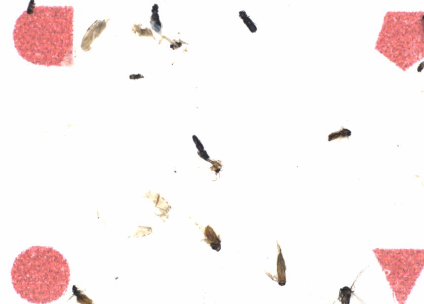 Fullscreen Image