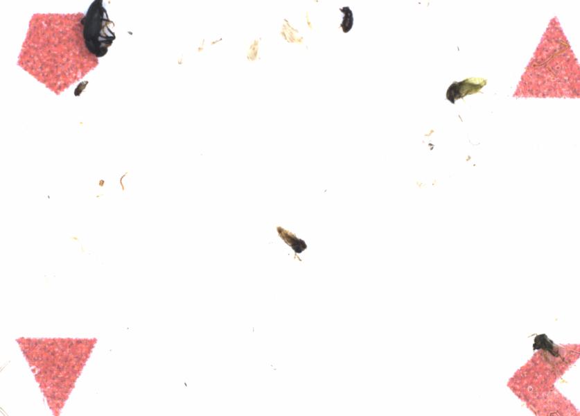 Fullscreen Image