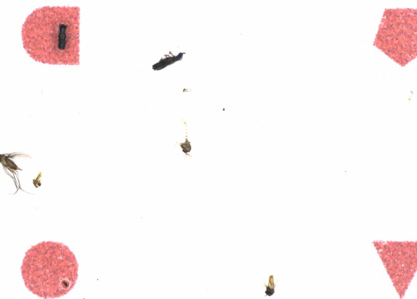 Fullscreen Image