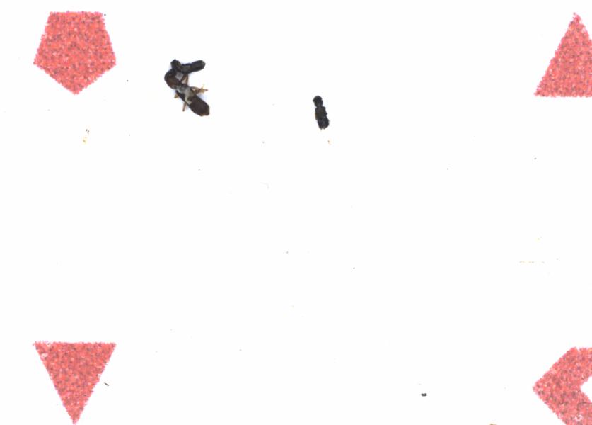 Fullscreen Image