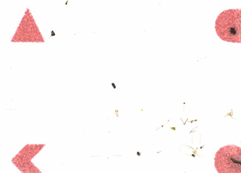 Fullscreen Image