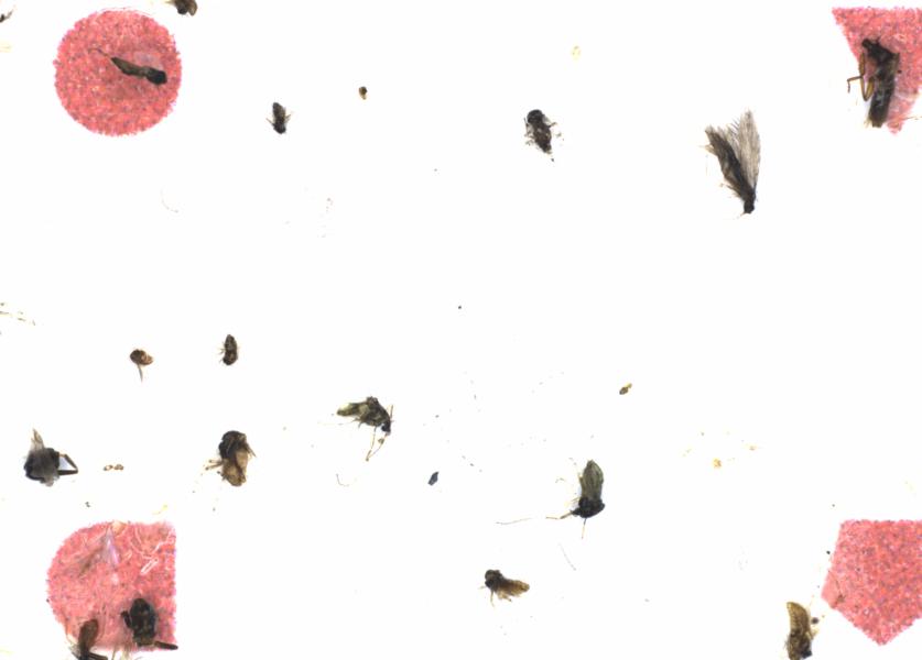 Fullscreen Image