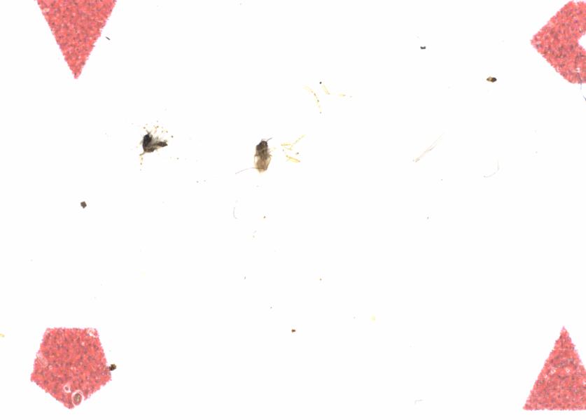 Fullscreen Image