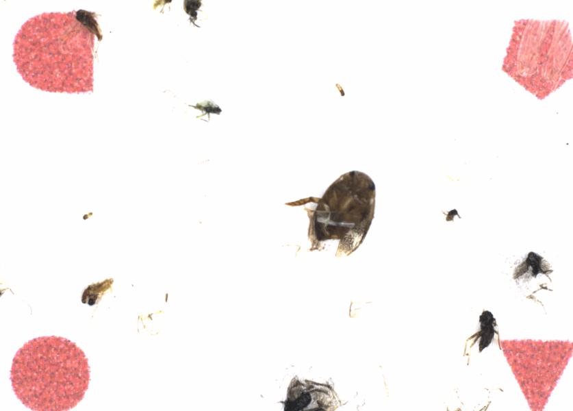 Fullscreen Image