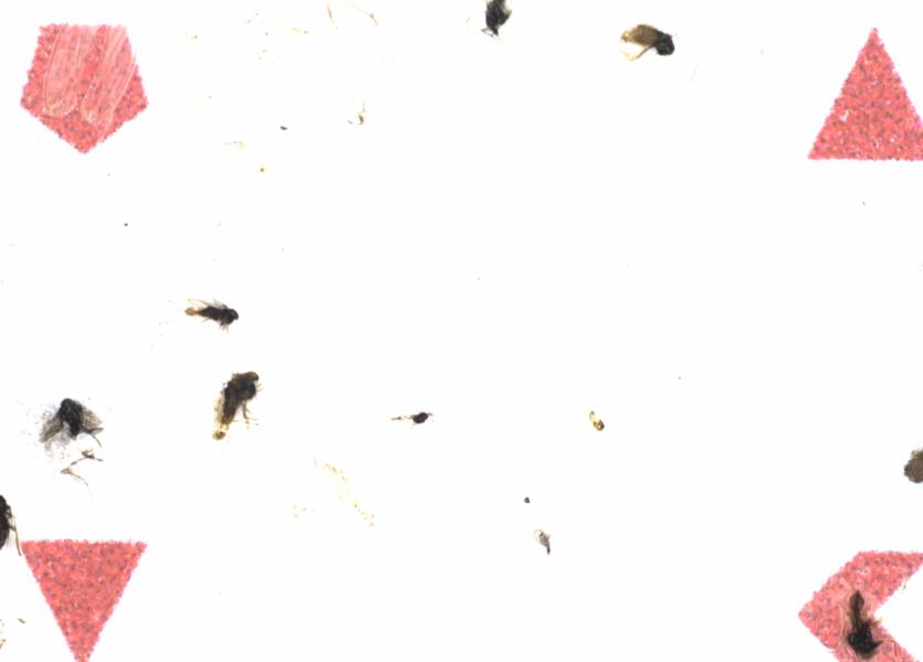 Fullscreen Image