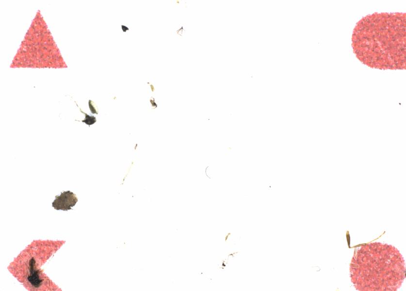 Fullscreen Image
